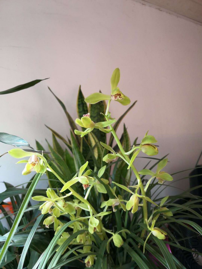΢��ͼƬ_20190401134836.jpg