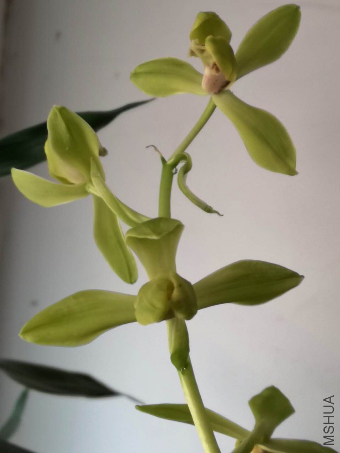 ΢��ͼƬ_20190401134944.jpg