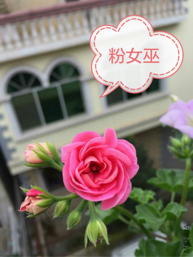 IMG_20190324_115415.jpg