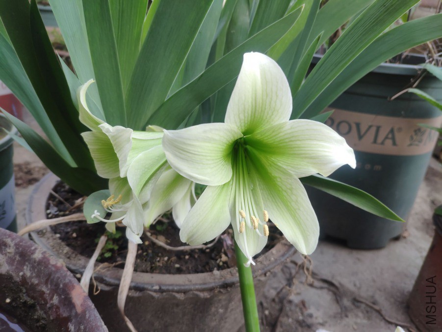 QQͼƬ20190401151743.jpg