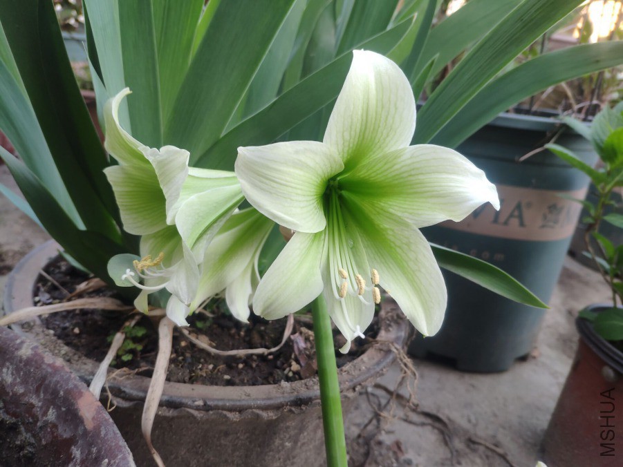 QQͼƬ20190401151738.jpg