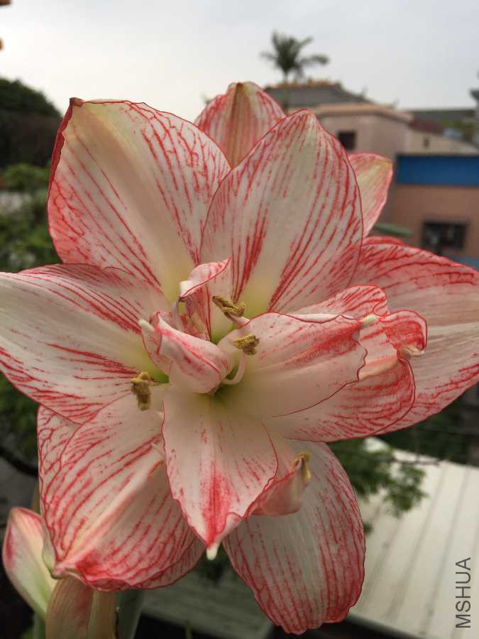 C2112261-030F-4E95-8E97-1605AD9FF996.jpeg