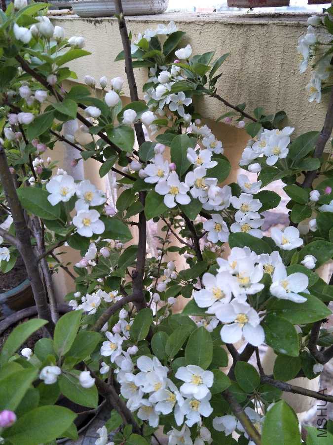 IMG20190401182600.jpg