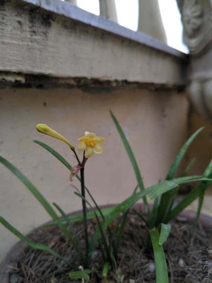 IMG20190401174846.jpg