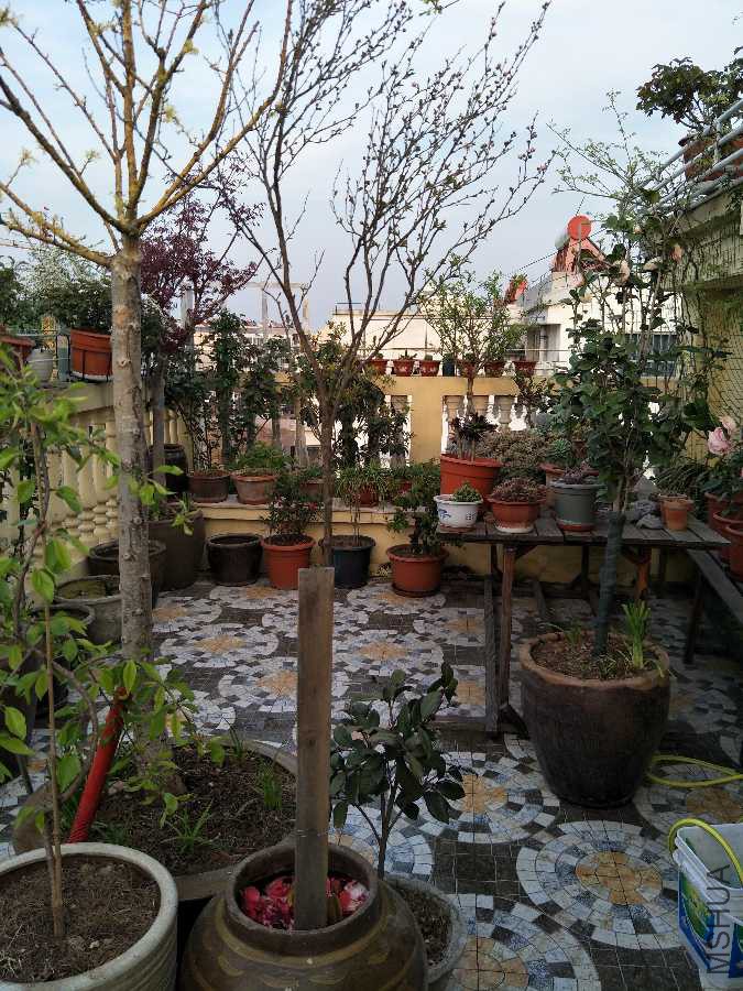 IMG20190401174335.jpg