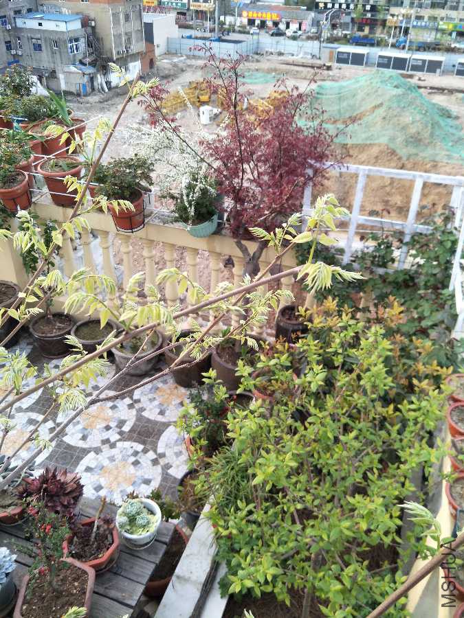 IMG20190401174143.jpg
