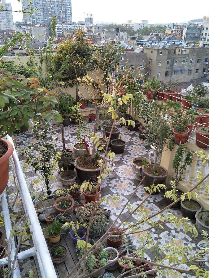IMG20190401174138.jpg