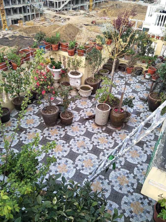 IMG20190401174104.jpg