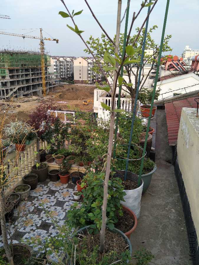 IMG20190401174042.jpg