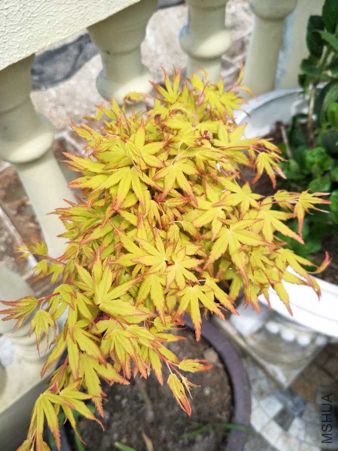 IMG20190330123824.jpg