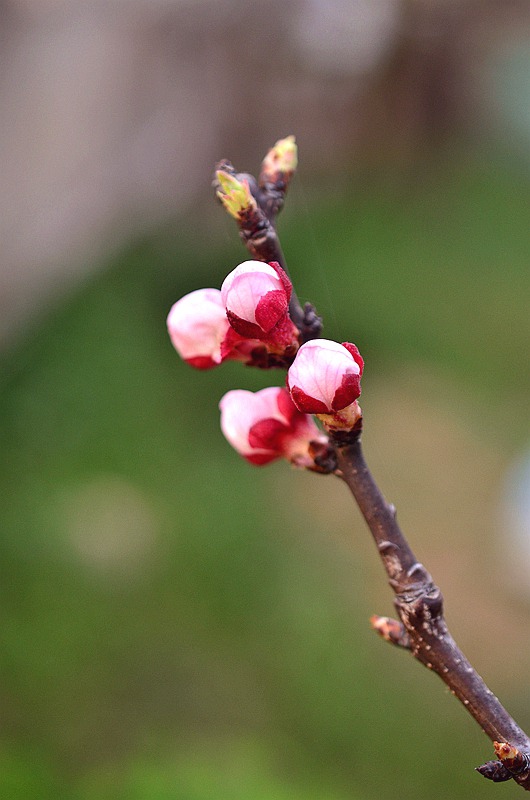 Ǿޱ���ӻ� 2.JPG