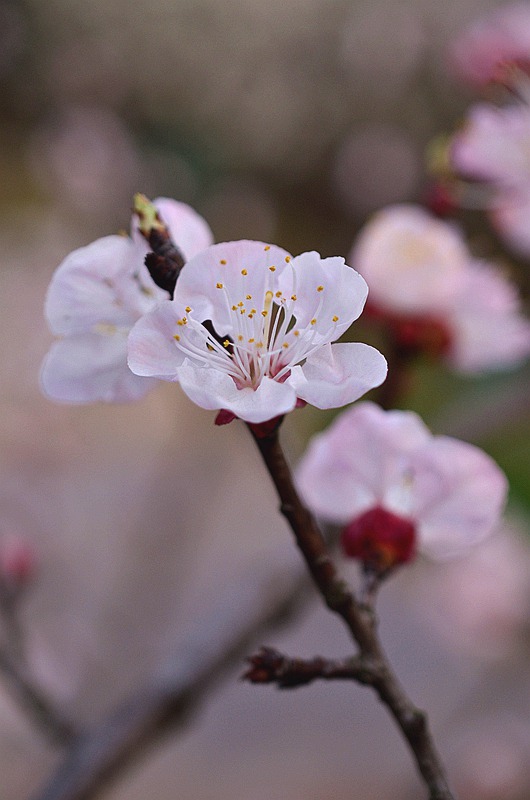 Ǿޱ���ӻ� 3.JPG