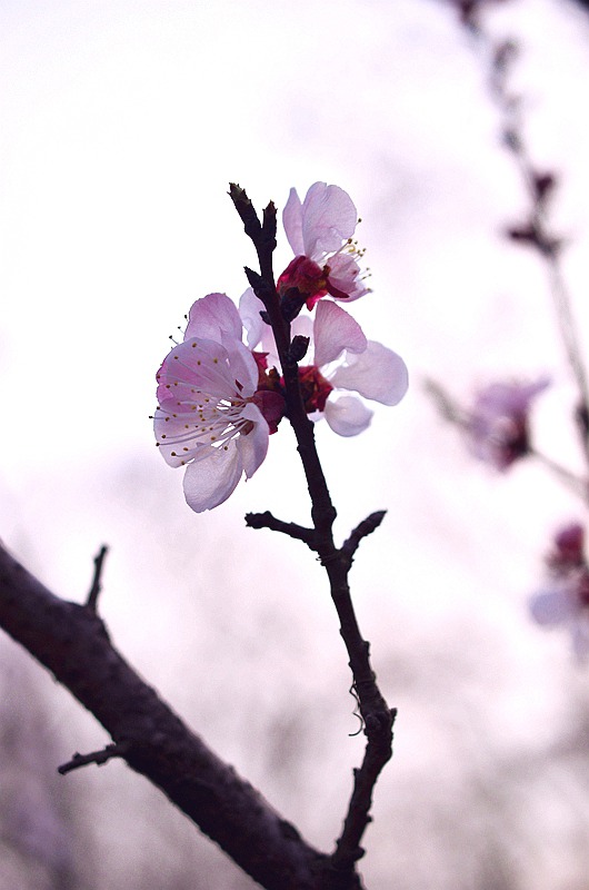 Ǿޱ���ӻ� 4.JPG