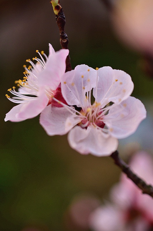 Ǿޱ���ӻ� 6.JPG