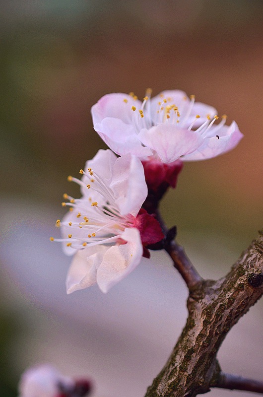 Ǿޱ���ӻ� 5.JPG