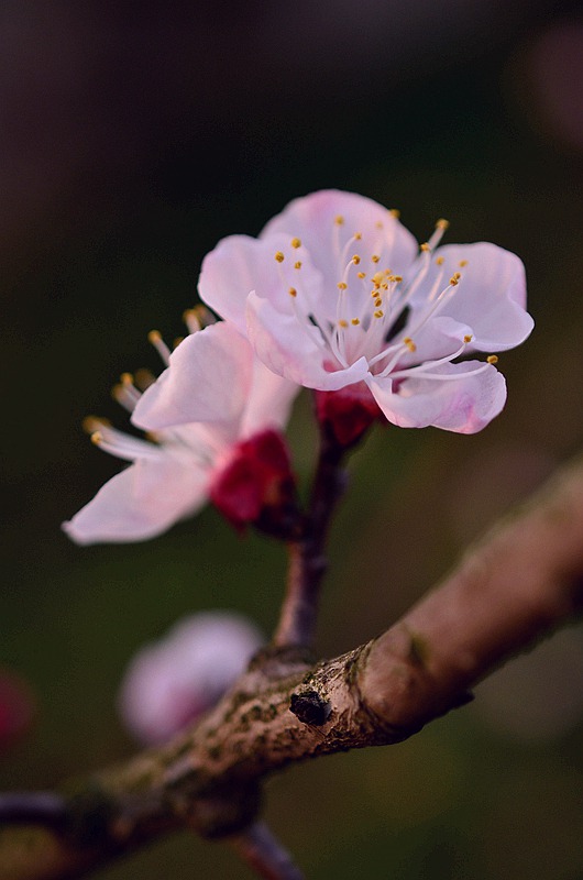 Ǿޱ���ӻ� 8.JPG