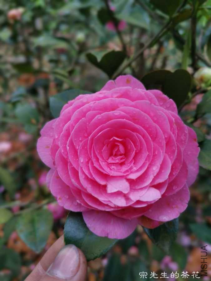 a1554037454706.jpg