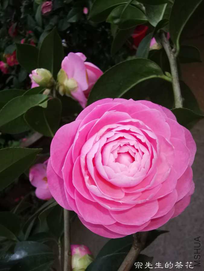 a1554037455864.jpg