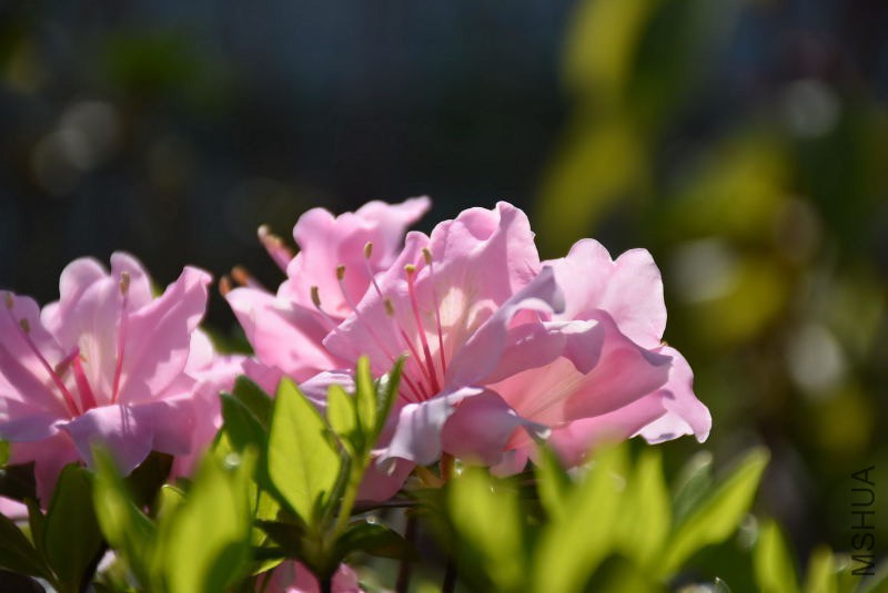 DSC_01840184.JPG