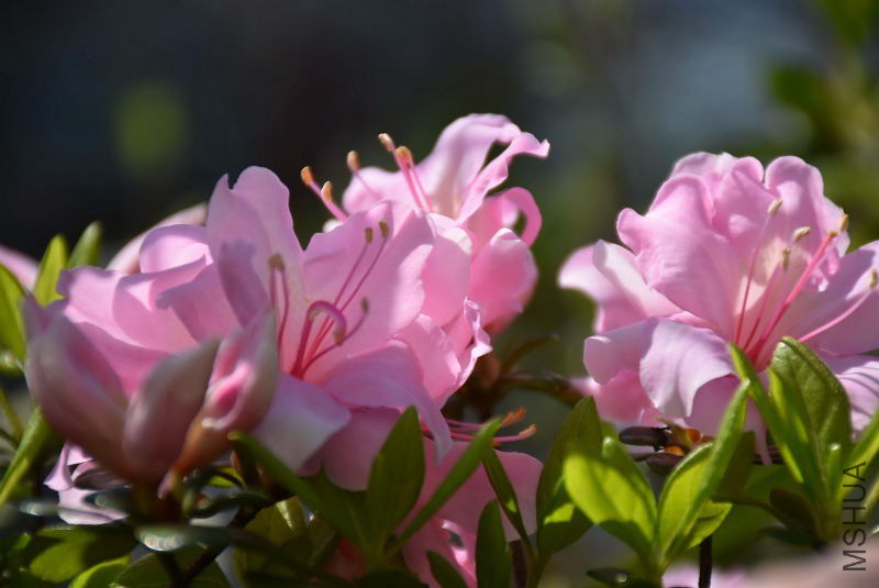DSC_01400140.JPG