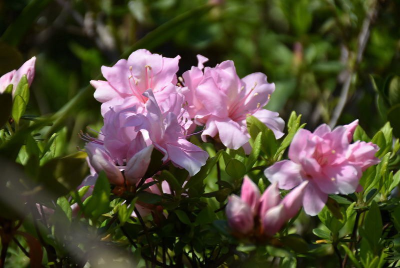 DSC_00580058.JPG