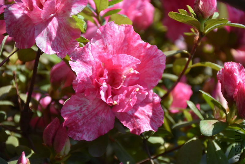 DSC_00230023.JPG