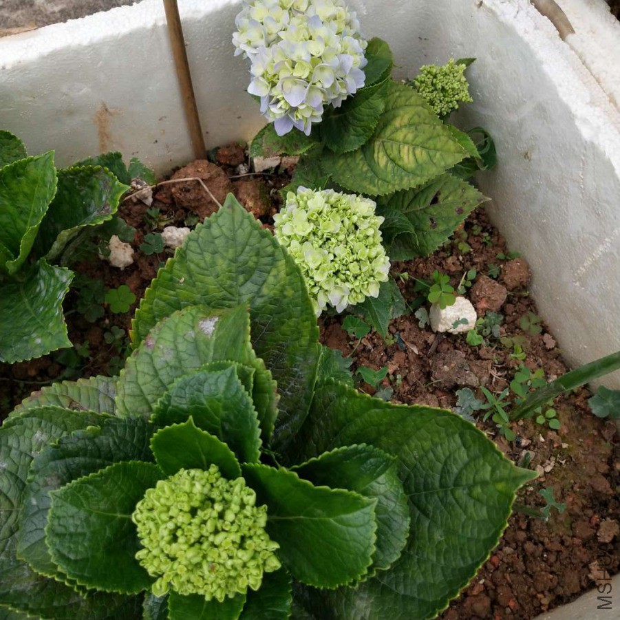 ΢��ͼƬ_20190402105457.jpg