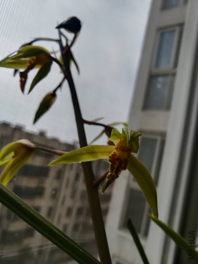 ΢��ͼƬ_20190402165005.jpg