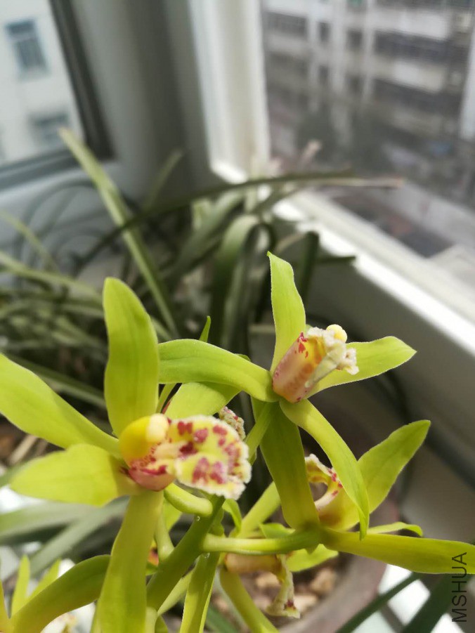 ΢��ͼƬ_20190402165015.jpg