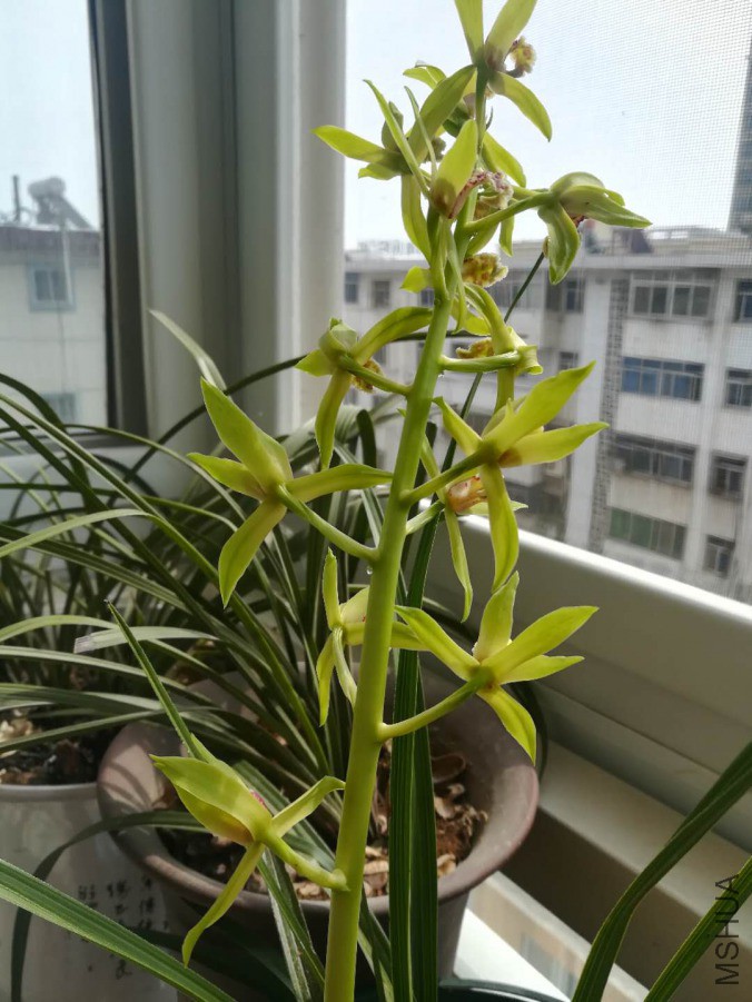 ΢��ͼƬ_20190402165019.jpg
