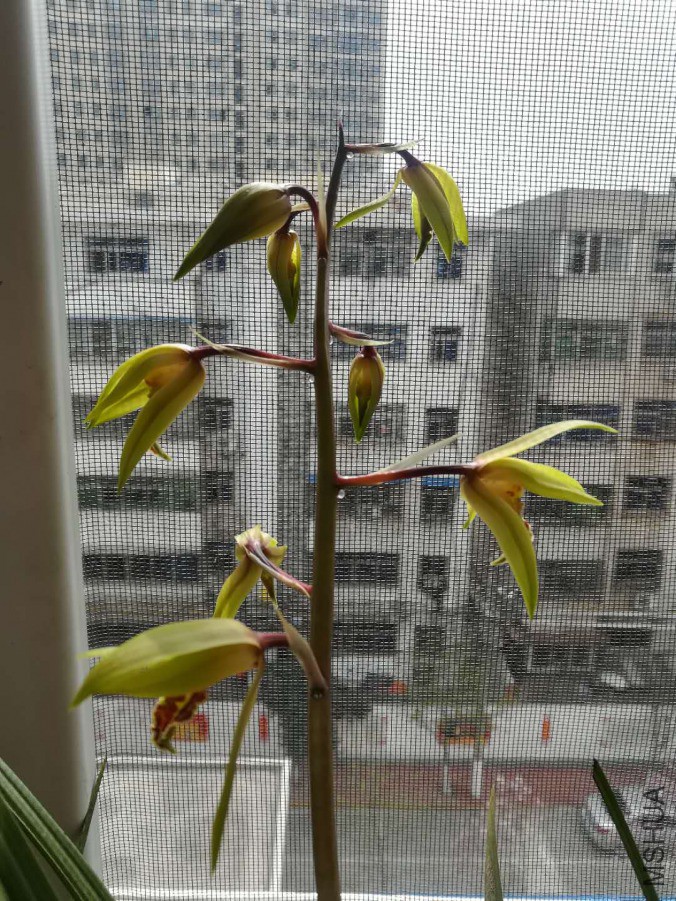 ΢��ͼƬ_20190402165026.jpg
