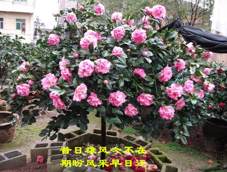 45ec8c3450b012606fa62682c2d6d238_114510ievvaatetieelaie_����.jpg