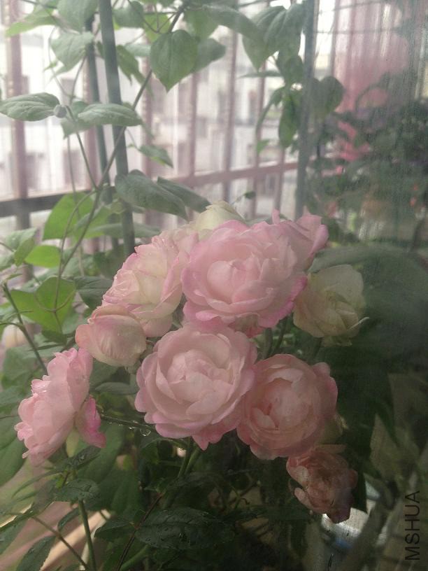 �ۿ� 2014.05.14.JPG