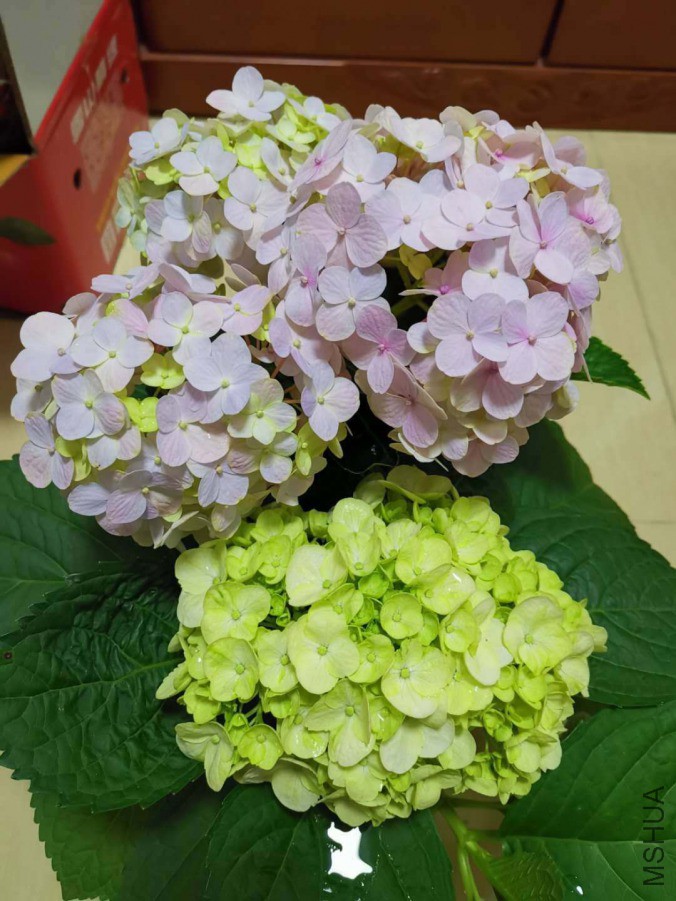 ΢��ͼƬ_20190403162754.jpg