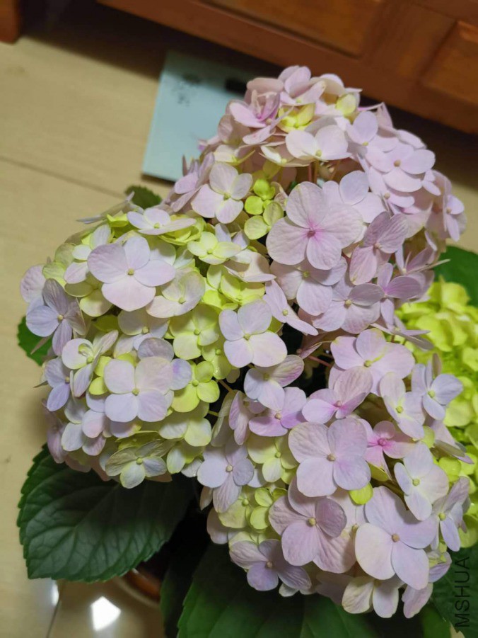 ΢��ͼƬ_20190403162749.jpg