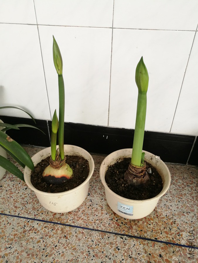 ΢��ͼƬ_20190403234829.jpg