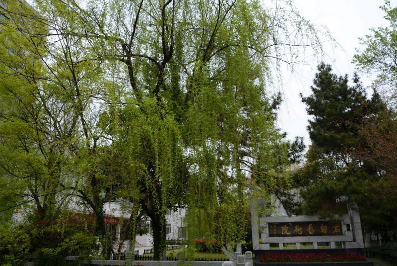 DSC_50110100.JPG