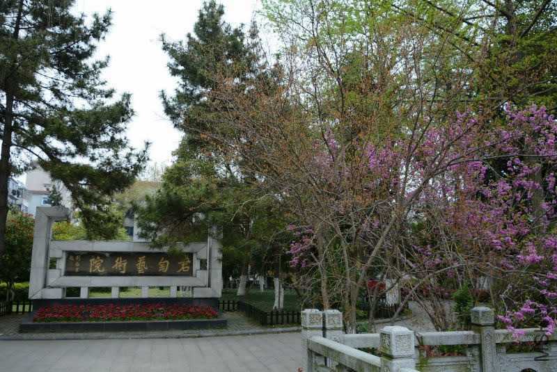 DSC_50050094.JPG
