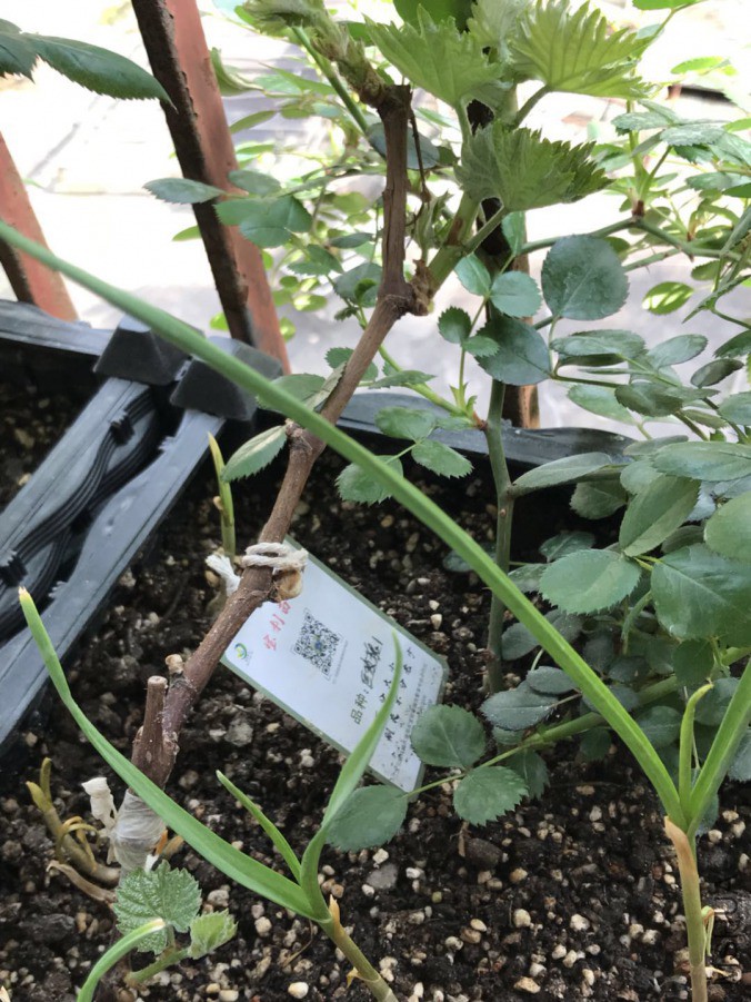 ΢��ͼƬ_20190329213022.jpg