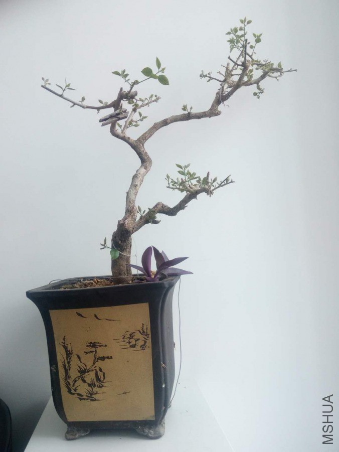 ΢��ͼƬ_20190404154338.jpg