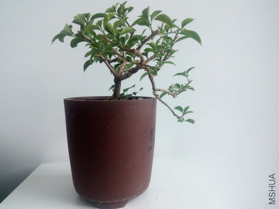 ΢��ͼƬ_20190404154352.jpg