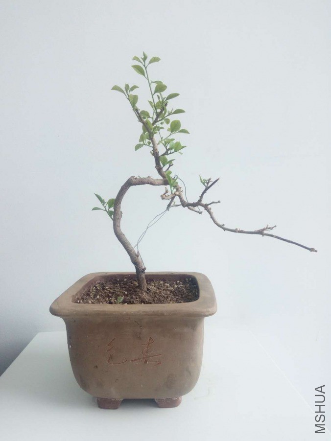΢��ͼƬ_20190404154358.jpg