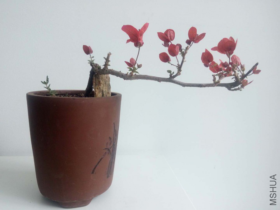 ΢��ͼƬ_20190404154403.jpg