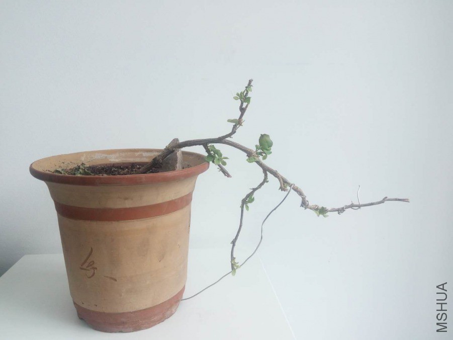 ΢��ͼƬ_20190404154408.jpg