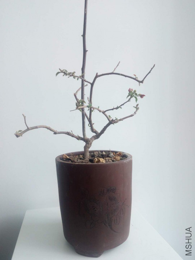 ΢��ͼƬ_20190404154428.jpg