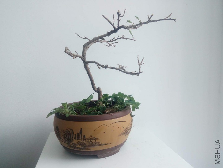 ΢��ͼƬ_20190404154433.jpg