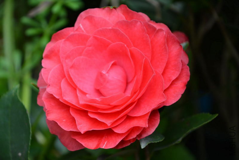 DSC_63020916.JPG
