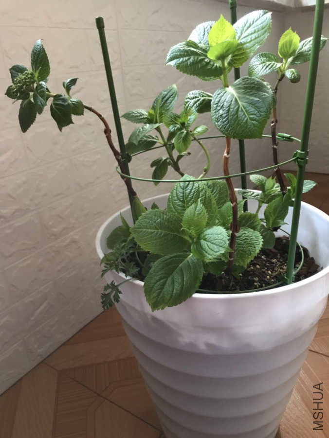 ΢��ͼƬ_201903252100131.jpg