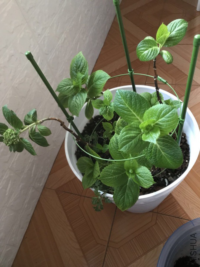 ΢��ͼƬ_201903252100135.jpg