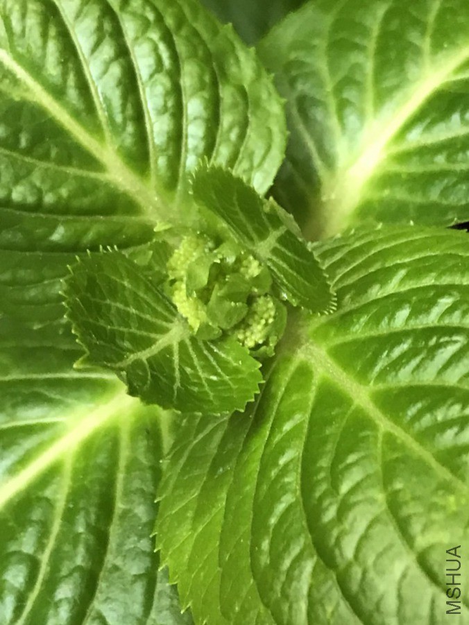΢��ͼƬ_201903292128154.jpg